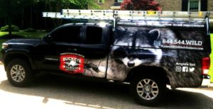 A Buckeye Wildlife Solutions truck with a raccoon and an ant graphic on the side