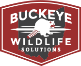 Buckeye Wildlife Solutions Logo: Red, Black & White