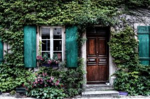 A House Covered With Ivy Is the Perfect Target for Problem Pests.