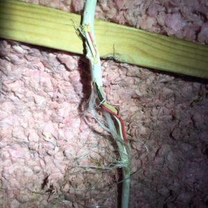 An exposed electrical wire in front of worn insulation