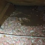 Damage to insulation in an attic