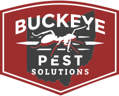 BPS