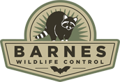 Barnes Wildlife Control photo link