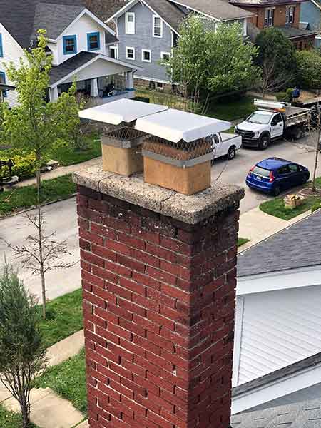 After Chimney Cap at Ohio Raccoon Breeding Season Blog page