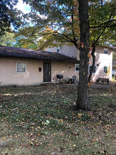 An after photo of brush and ivy removal at property upkeep page