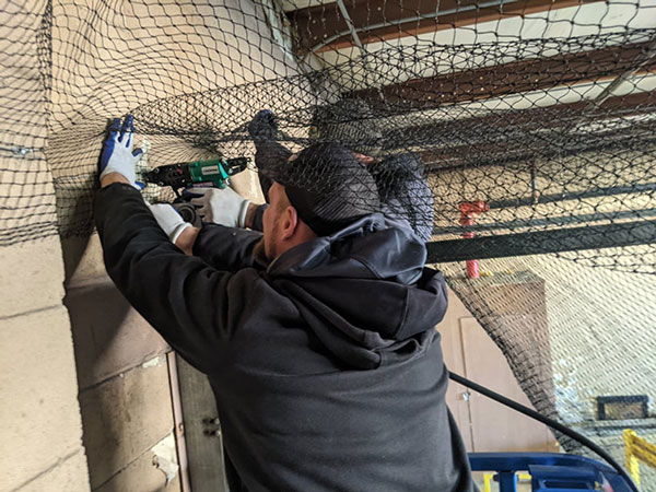 Installing bird netting