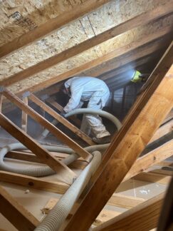 A BWS technician performs an attic cleanup after responding to a Delaware, Ohio bat removal call and performing a successful eviction.