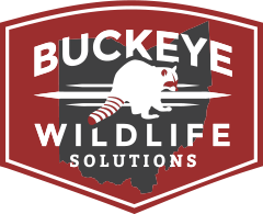 Buckeye Wildlife Solutions