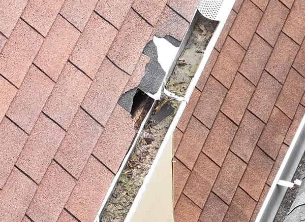 Photo: drone photo showing shingle and gutter damage Photo: drone photo showing shingle and gutter damage