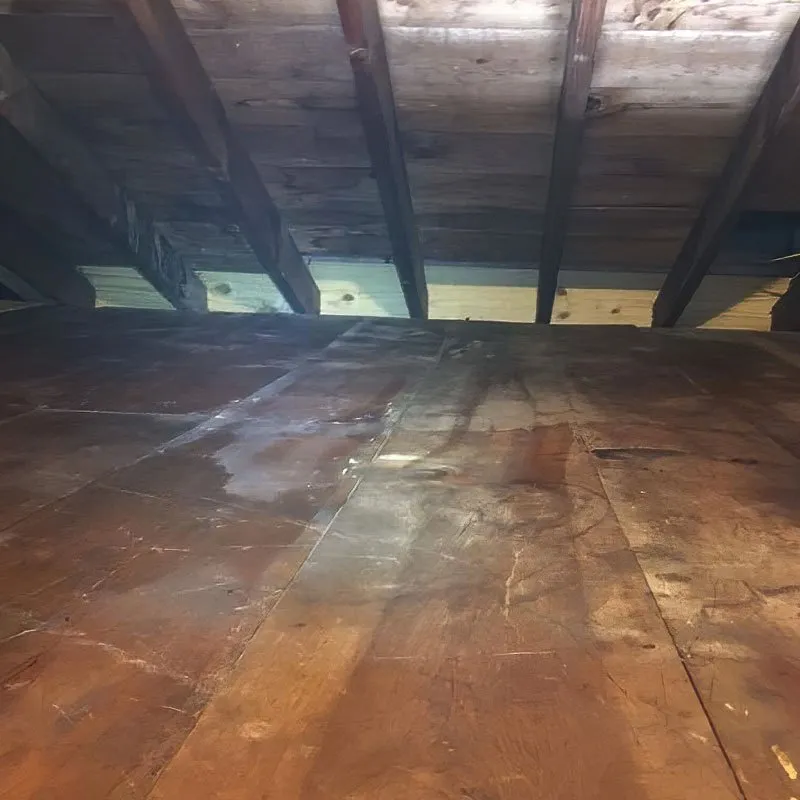 After Attic Restoration