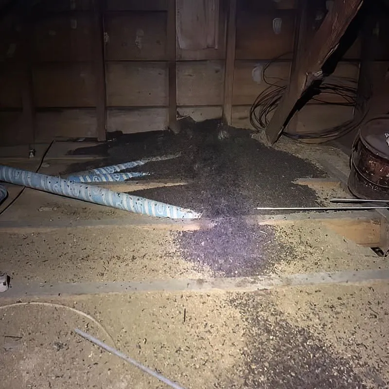 Before Attic Restoration