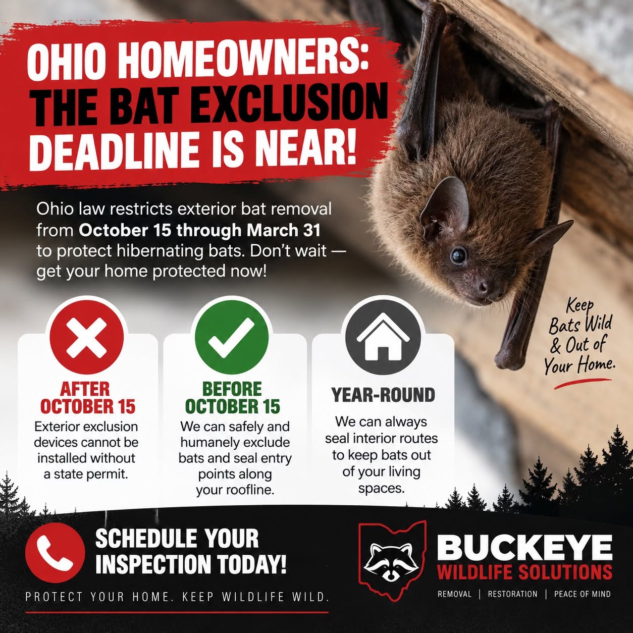 Buckeye Wildlife Solutions wildlife removal truck Buckeye Wildlife Solutions wildlife removal truck